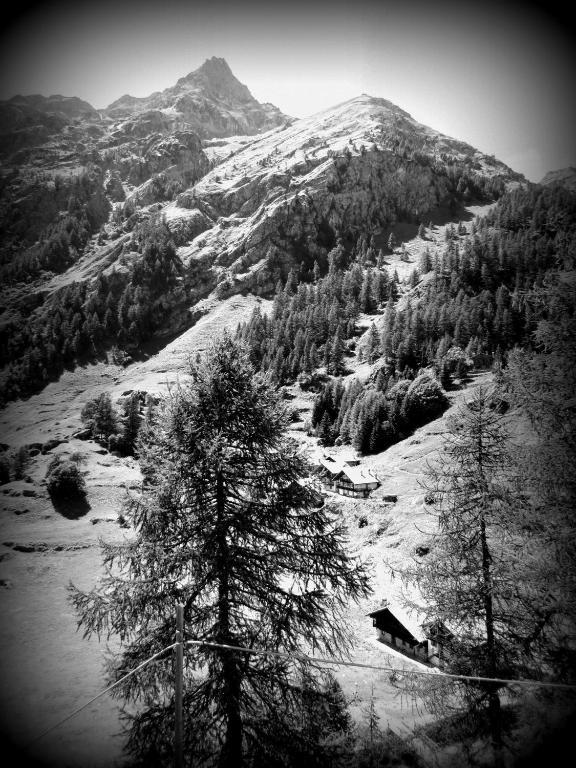 Gressoney-la-Trinité Il Piccolo Residence מראה חיצוני תמונה